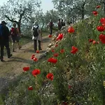 Casale Le Rote Hotel