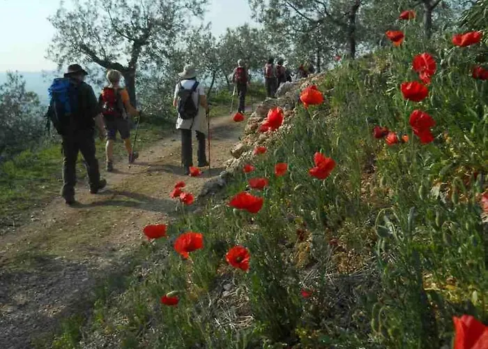 Casale Le Rote Hotel