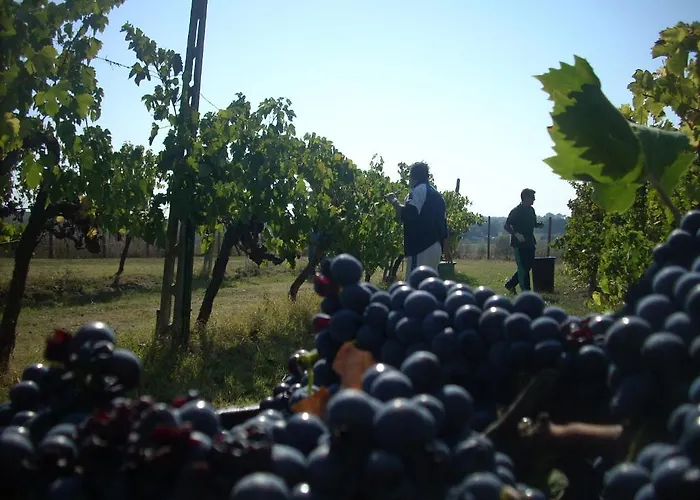 Casale Le Rote Hotel Amelia